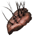 2026-07_98fc1aefb5893c3f.png
