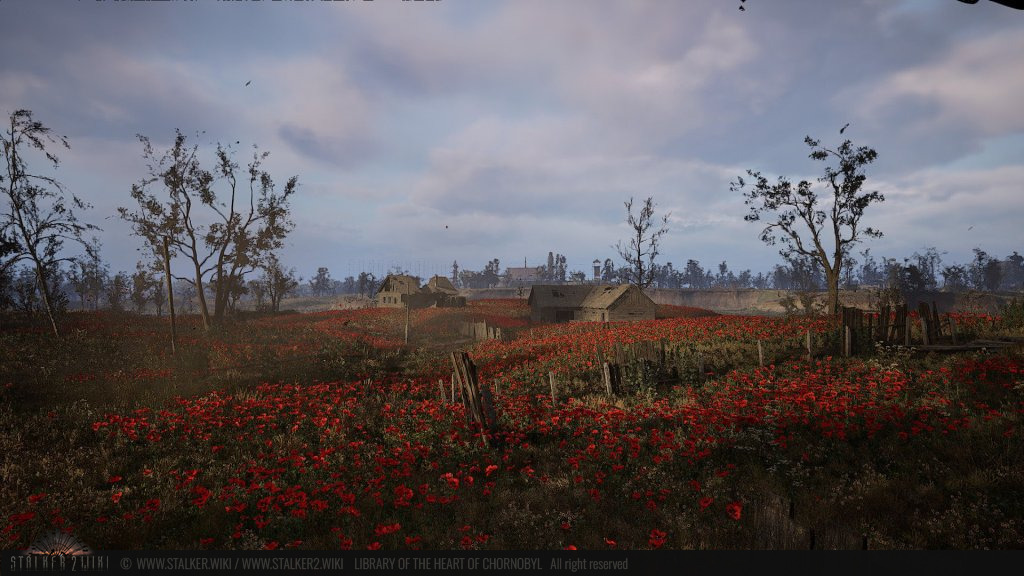 «Макове поле»