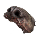 Залоза сліпого собаки