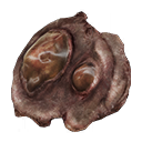 Шмат мозку контролера