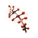 Мамине намисто