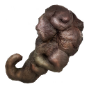 Орган Полтергейста