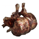 Хребець Снорка