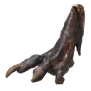 Лапка Тушкана