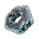 Дивна гайка